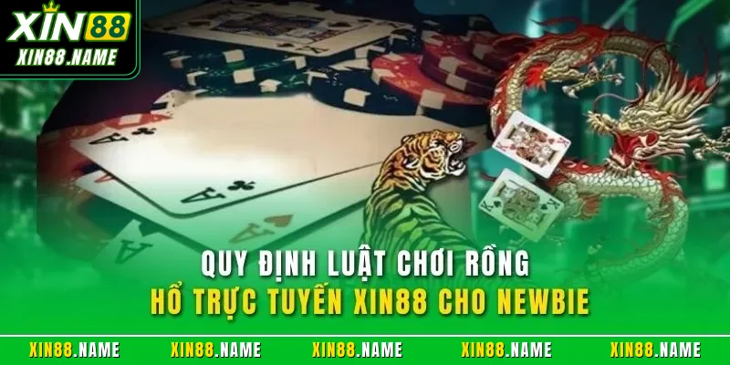 Quy định luật chơi Rồng Hổ trực tuyến XIN88 cho newbie